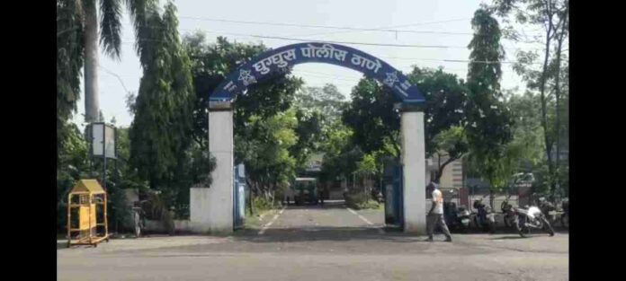 IMG-20210705-WA0264(1)