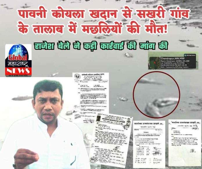 IMG_COM_20240522_1105_44_6771