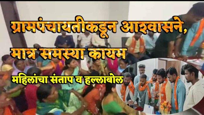 IMG_COM_20240920_1335_26_0961